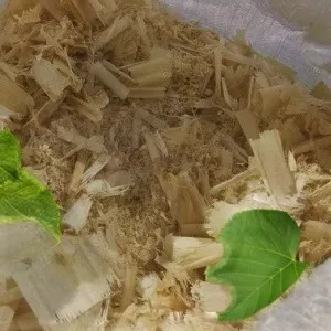 Лиственные опилки оптом в Иваново от завода-производителя Лигнум Ресурс