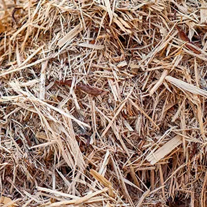 Щепа для арболита оптом в Иваново и других различных марок заказать от 16 тонн