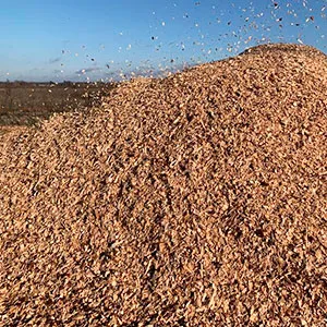 Щепа топливная оптом в Иваново от завода-производителя Лигнум Ресурс